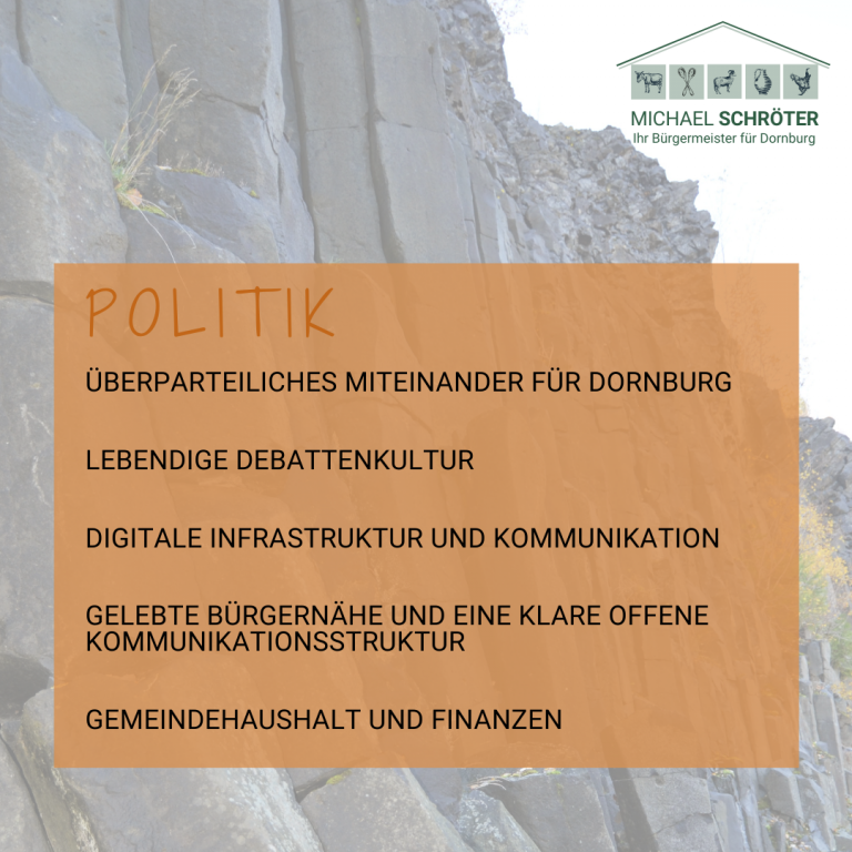 Read more about the article Politik