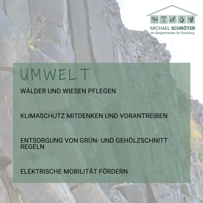 Read more about the article Umwelt